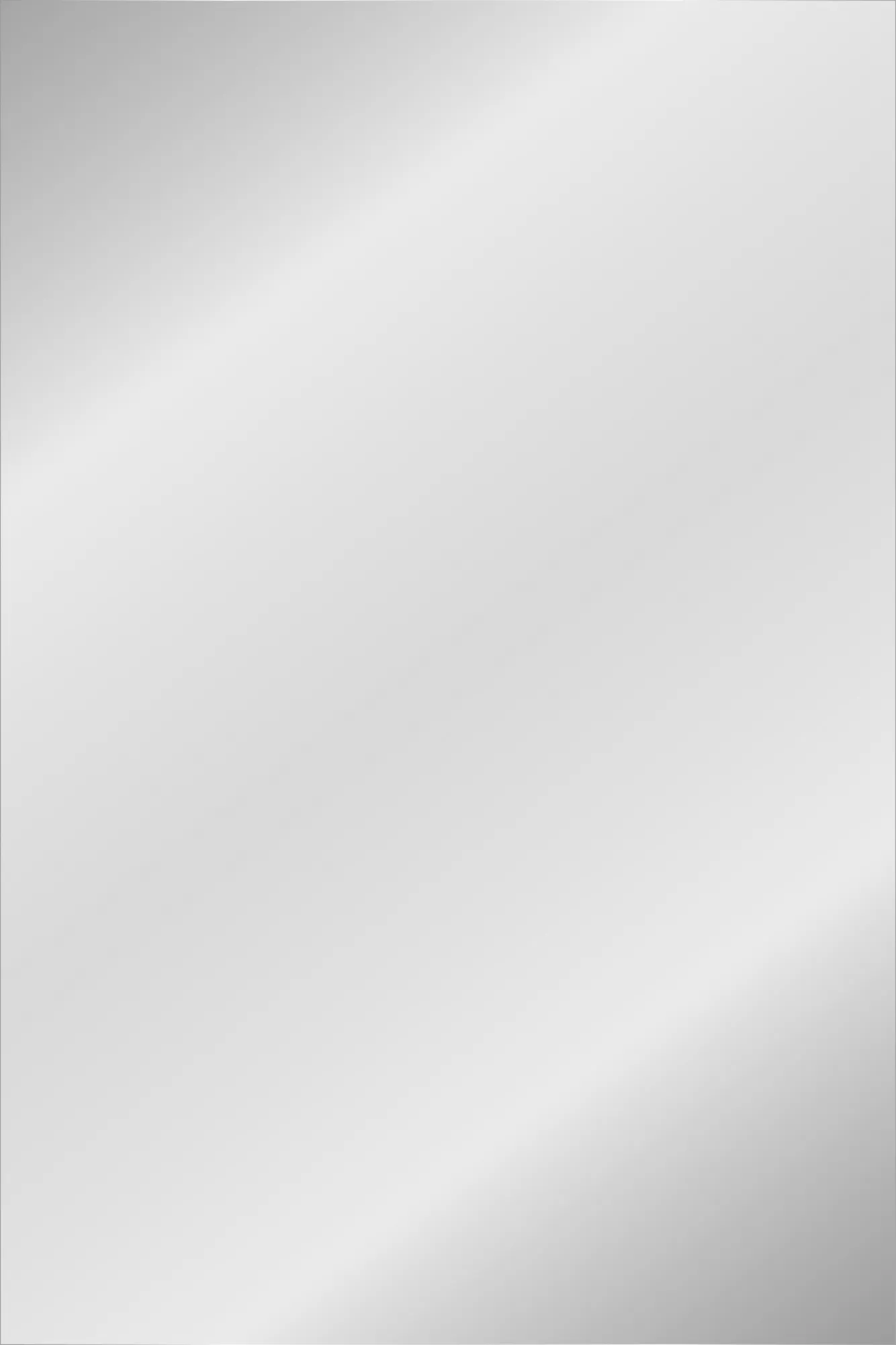 Toilet spiegel 40x60 cm